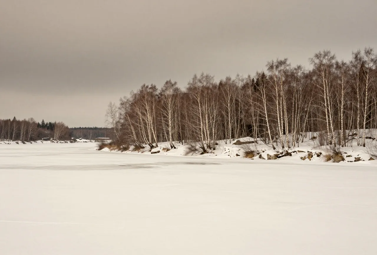 Eine weite verschneite Ebene im Winter mit zugefrorenem Fluss und kahlen Birken unter grauem Himmel