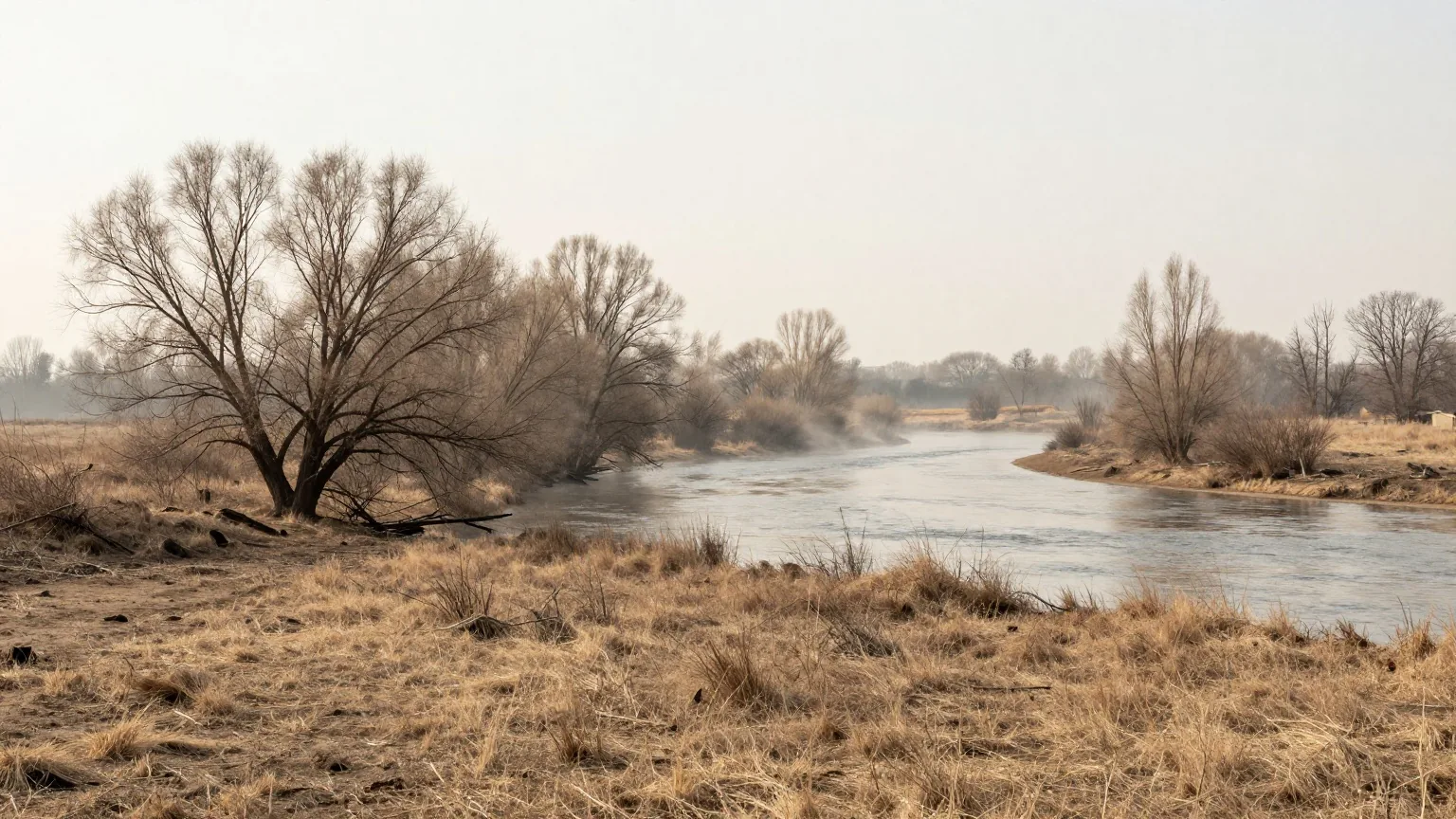 Eine weite flache Flussebene in Osteuropa im Frühjahr mit kahlen Weiden am Ufer und Morgennebel